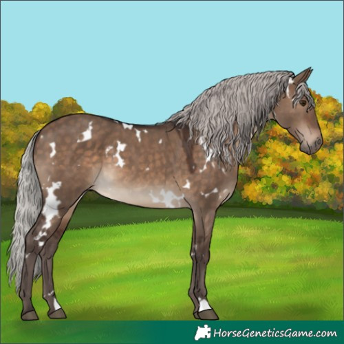 Horse Color:White Spotted Silver Brown Dun 