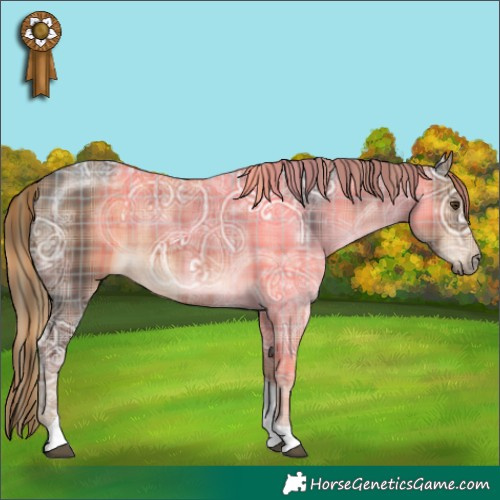 Horse Color:Plaid Liver Chestnut Ice Tobiano
