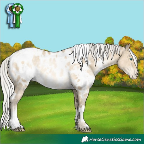 Horse Color:White Spotted Silver Buckskin Pearl Dun Appaloosa Rabicano