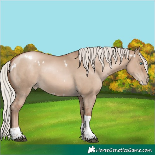 Horse Color:White Spotted Silver Grullo Pearl Tobiano Rabicano 