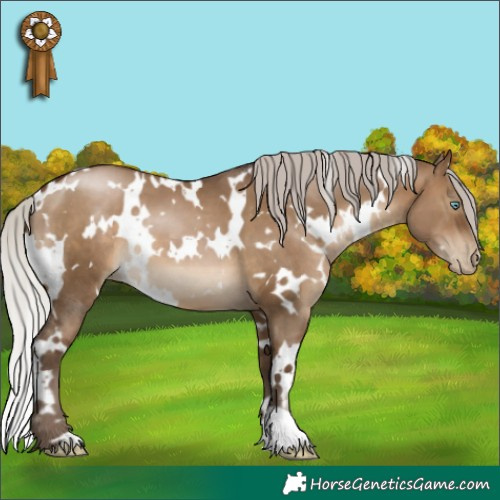 Horse Color:Gray White Spotted Silver Brown Pearl Dun 