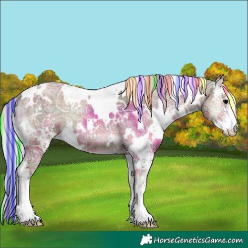 Horse Color:Painted Plaid  White Spotted Silver Blue Onyx Ice Sabino 