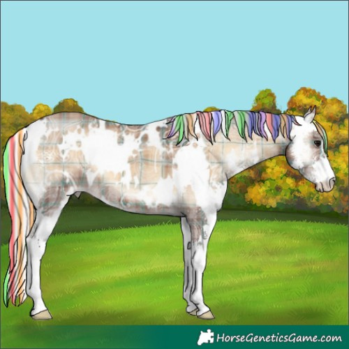 Horse Color:Painted Plaid  White Spotted Silver Brown Ice Onyx Sabino 