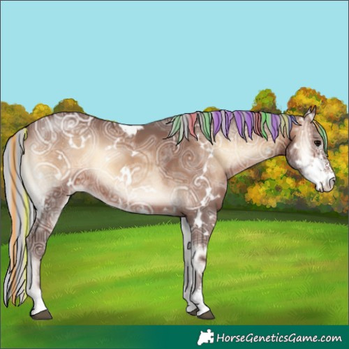 Horse Color:Painted White Spotted Silver Brown Ice Onyx Sabino 