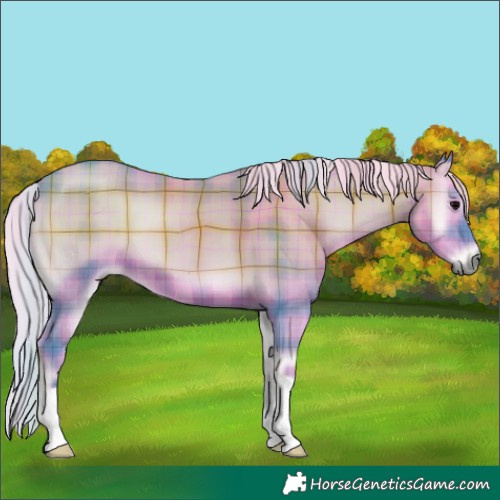 Horse Color:Watercolor Plaid Silver Blue Onyx
