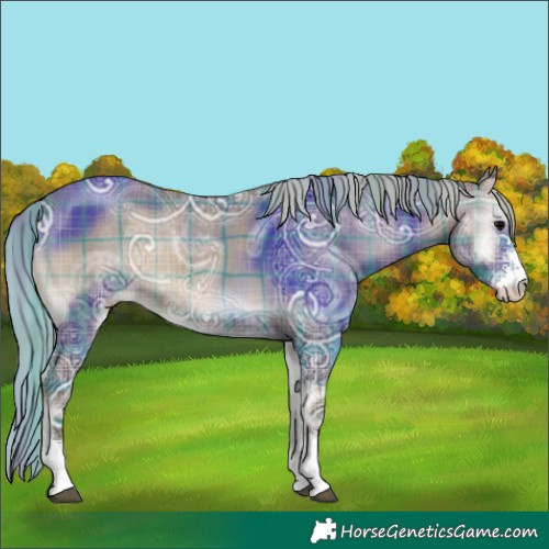 Horse Color:Plaid  Silver Blue Onyx Ice Sabino 