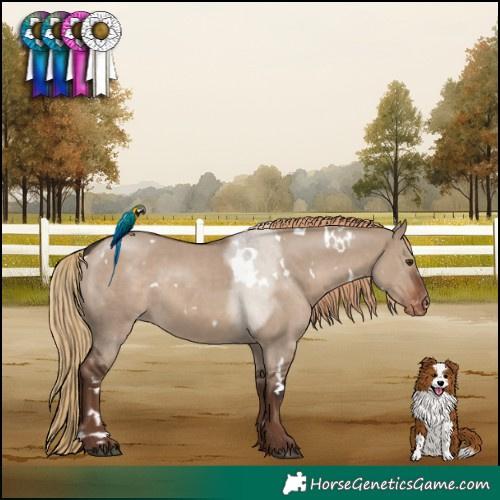 Horse Color:White Spotted Liver Red Dun Skewed LP Spotted 