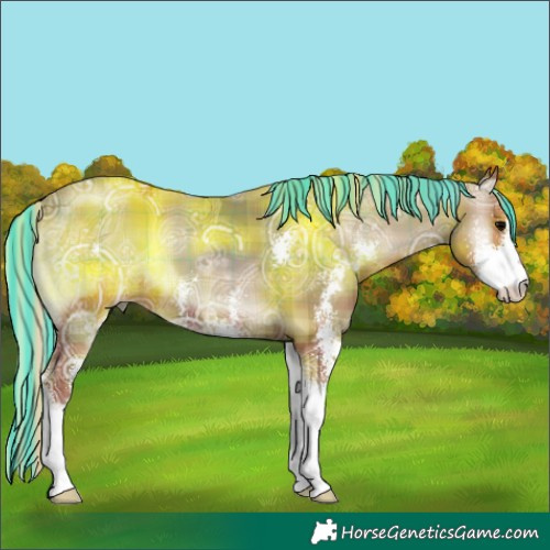 Horse Color:Painted Plaid Silver Blue Onyx Ice Sabino