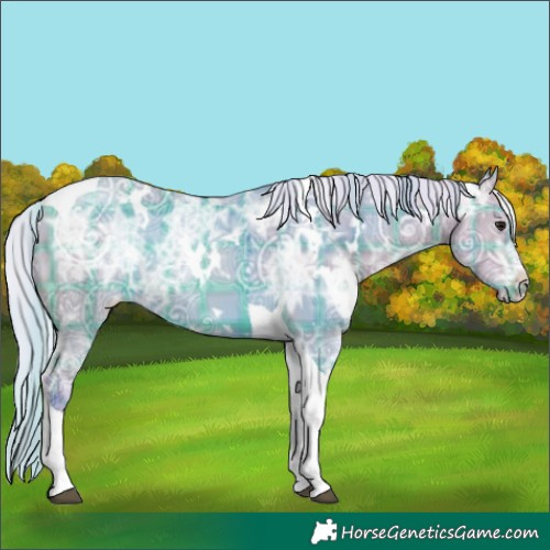 Horse Color:Watercolor Plaid White Spotted Silver Bay Ice Tobiano Appaloosa