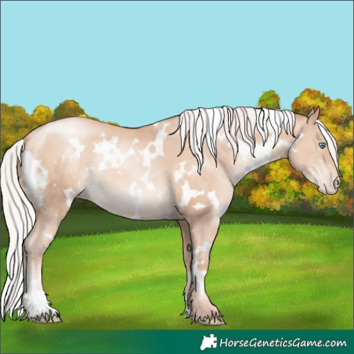 Horse Color:White Spotted Silver Sable Champagne Pearl 