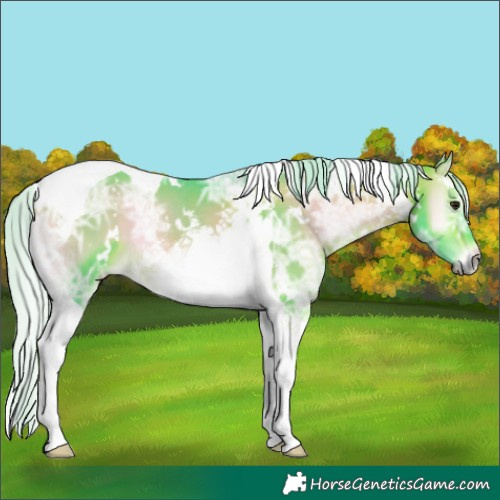 Horse Color:Watercolor White Spotted Silver Bay Ice Onyx Tobiano