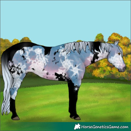 Horse Color:Gray Void Watercolor White Spotted Silver Bay Ice Tobiano