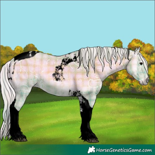 Horse Color:Void Watercolor Plaid  Silver Blue Onyx Ice Tobiano 