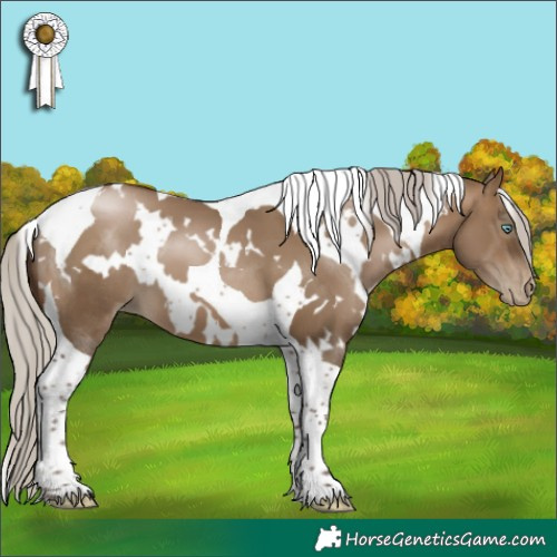 Horse Color:Gray White Spotted Silver Brown Pearl Dun Tobiano 