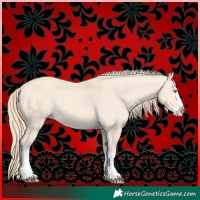 Horse Color:Perlino Splash 
