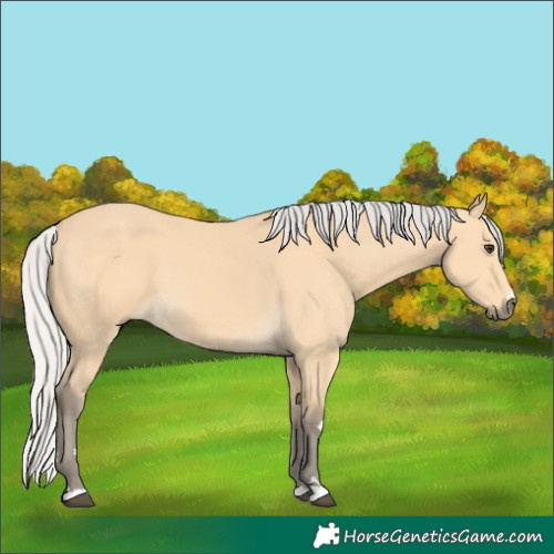 Horse Color:Silver Buckskin