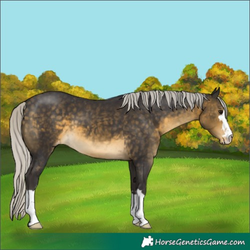 Horse Color:Silver Buckskin Varnish