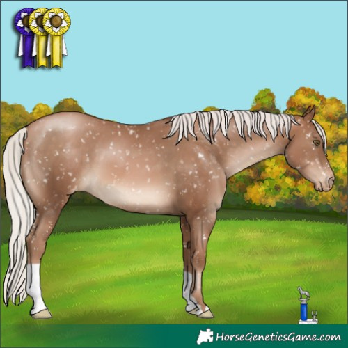 Horse Color:Silver Brown Pearl Snowflake Varnish