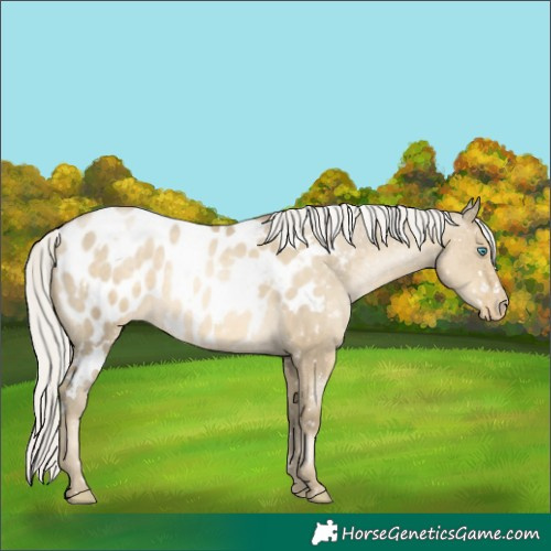 Horse Color:White Spotted Silver Smoky Grullo Pearl Blanket