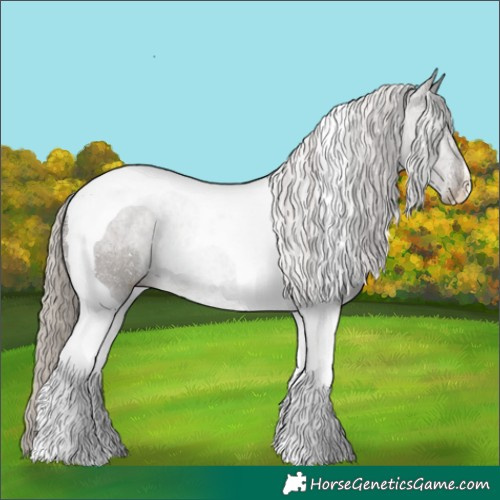 Horse Color:Silver Black Tobiano 