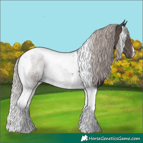 Horse Color:Silver Black Tobiano 