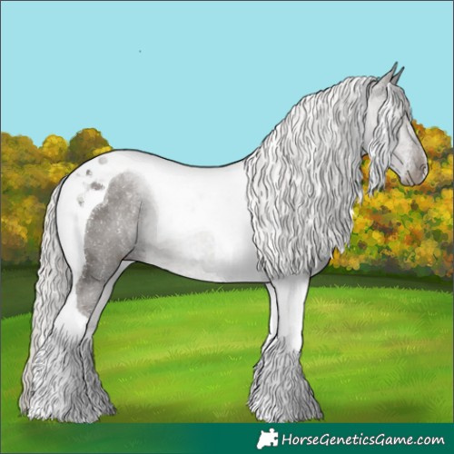Horse Color:Silver Black Tobiano 