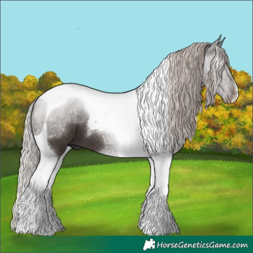 Horse Color:Silver Black Tobiano