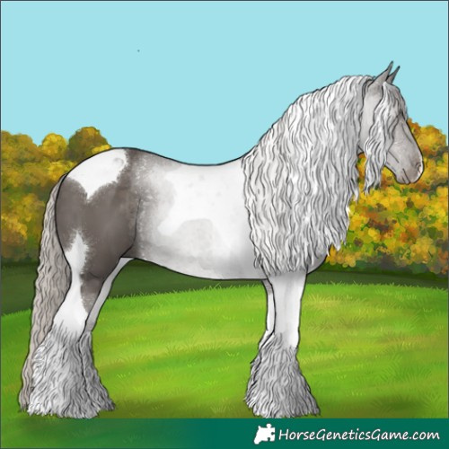 Horse Color:Silver Black Tobiano 