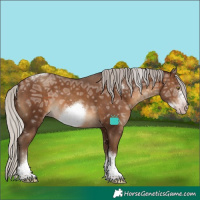 Horse Color:Gray Silver Sable Champagne Ice Sabino Tobiano Frame