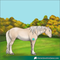 Horse Color:Palomino Pearl