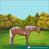 Horse Color:Silver Bay Ice Tobiano