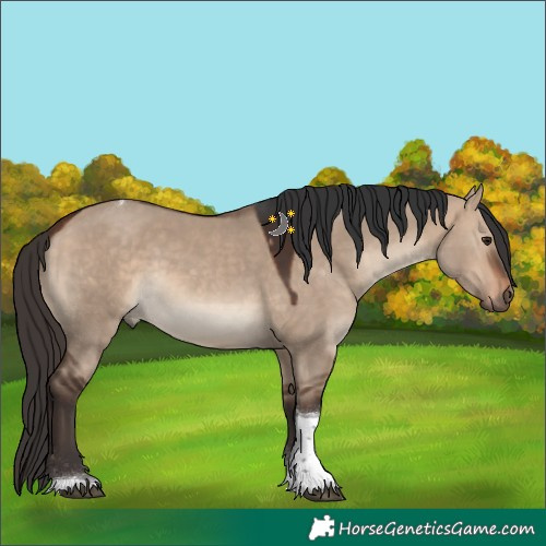 Horse Color:Bay Dun Tobiano