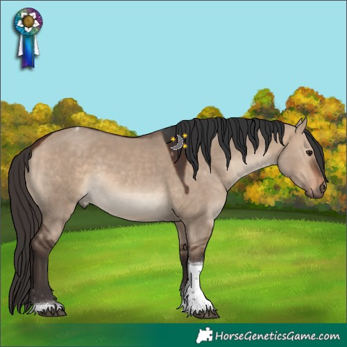 Horse Color:Bay Dun Tobiano