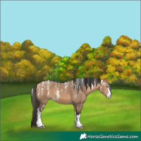 Horse Color:Powder White Bay Dun