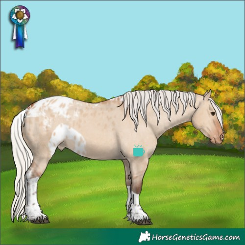 Horse Color:Silver Bay Dun Tobiano Skewed LP Spotted 