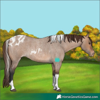 Horse Color:Bay Roan Dun Tobiano Skewed LP Spotted 