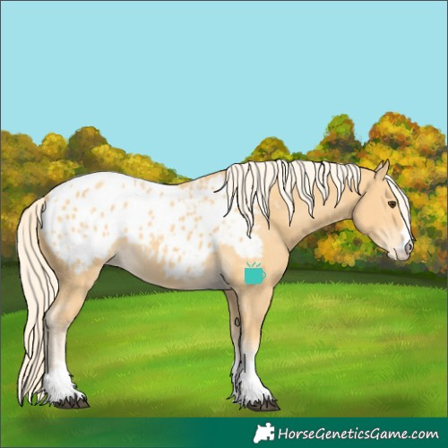 Horse Color:Palomino Blanket 