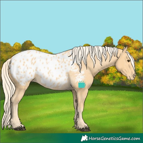 Horse Color:Palomino Blanket 