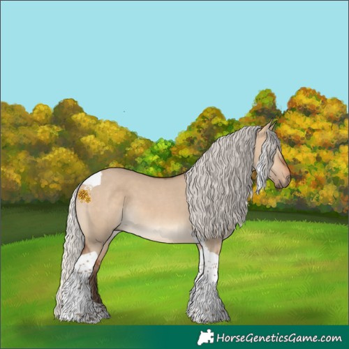 Horse Color:Silver Brown Dun Tobiano 
