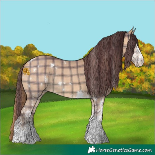 Horse Color:Plaid White Spotted Chocolate Bay Mushroom Rabicano