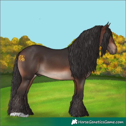 Horse Color:Brown Mushroom 