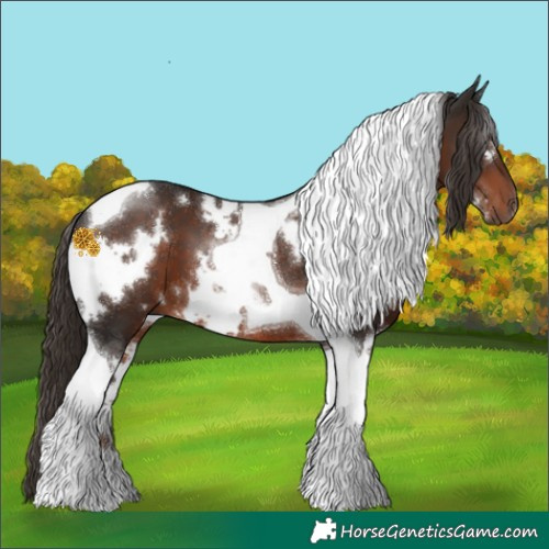 Horse Color:White Spotted Liver Chestnut Tobiano 