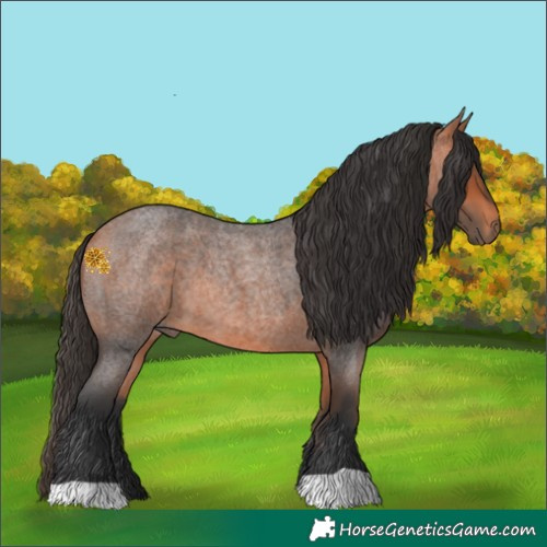 Horse Color:Bay Roan 