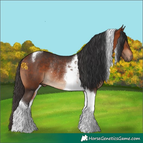 Horse Color:Bay Tobiano Rabicano