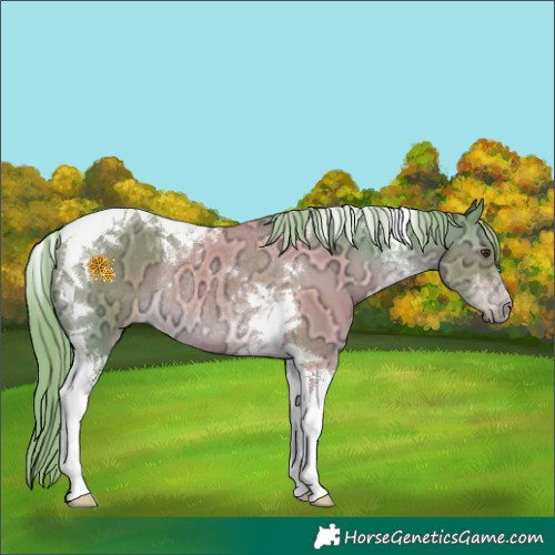 Horse Color:Watercolor Liver Red Dun Ice Tobiano Rabicano