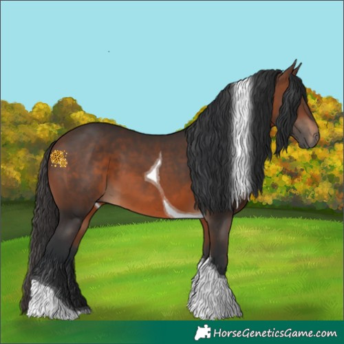 Horse Color:Brown Tobiano 