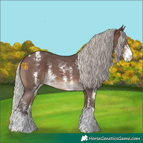 Horse Color:Silver Brown Sabino Appaloosa 