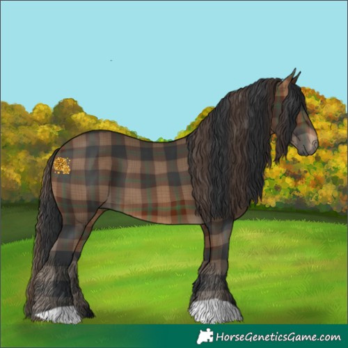 Horse Color:Plaid Brown