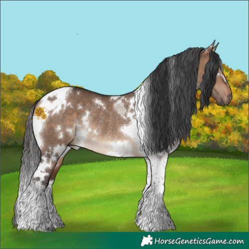 Horse Color:White Spotted Brown Dun Tobiano Rabicano