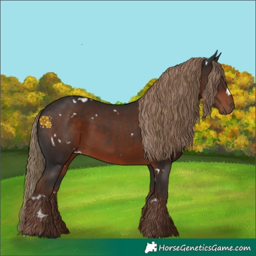 Horse Color:White Spotted Liver Chestnut